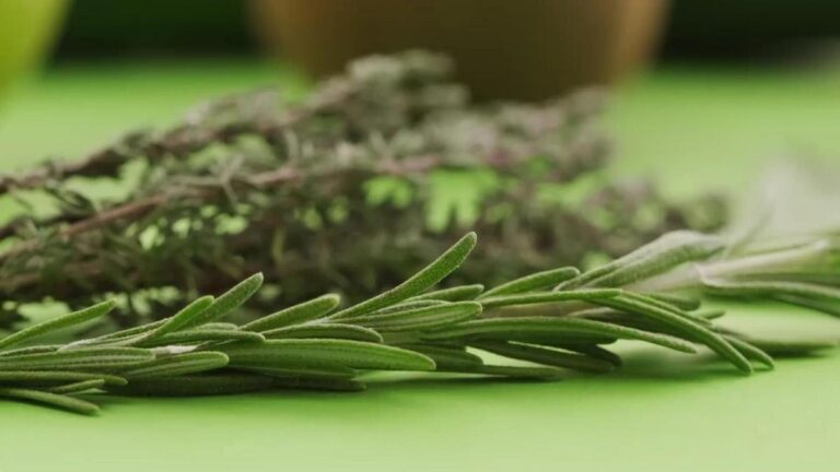 Kanserin İyileşmesi bile: Kekik Mucizeleri – Sağlık Haberleri